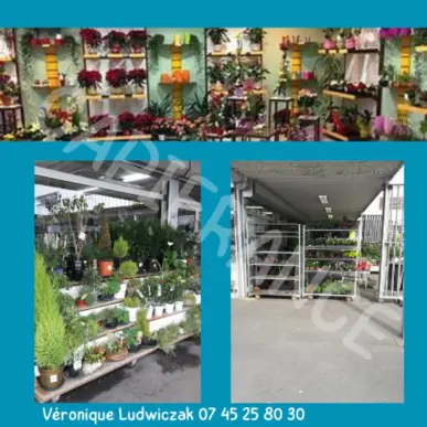 Vente - Fleuriste - Nord (59)-photo-4