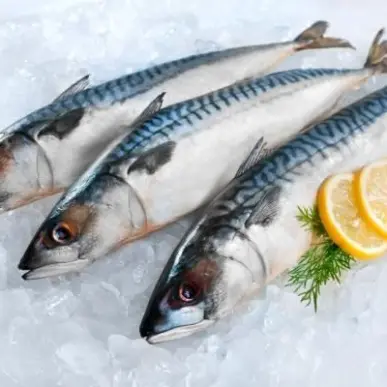 Vente - Poissonnerie - Bouches-du-Rhône (13)-photo-2