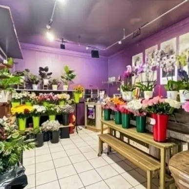 Vente - Fleuriste - Colombes (92700)-photo-3