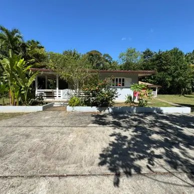 Vente - Hôtel - Guyane (973)-photo-4