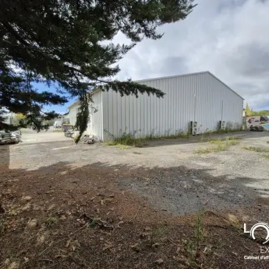 Location Local Commercial - Le clion sur mer (44210)-photo-4