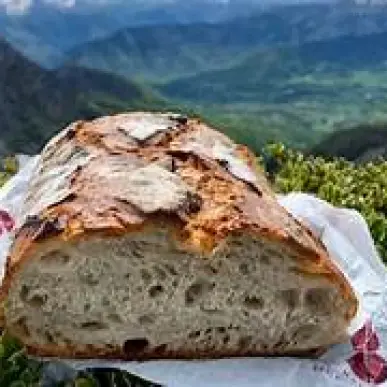 Vente - Boulangerie - Pâtisserie - Pyrénées-Atlantiques (64)-photo-1