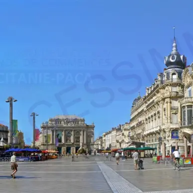 Vente - Brasserie - Restaurant du midi - Hérault (34)-photo-2