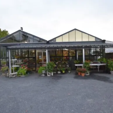 Vente - Fleuriste - Digoin (71160)-photo-5