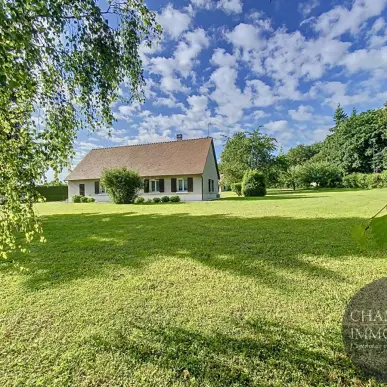 Vente Terrain ZI / ZA - Chemery (41700)-photo-6