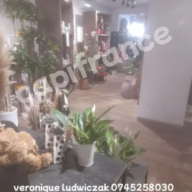 Vente - Fleuriste - Nord (59)-photo-4