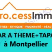 Vente - Bar - Bar à thème - Hérault (34)