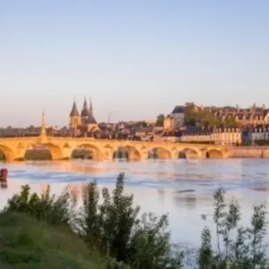 Vente - Hôtel - Restaurant - Blois (41000)-photo-2
