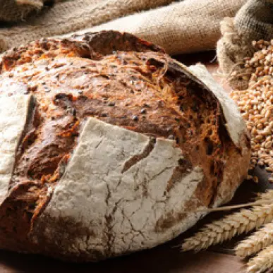 Vente - Boulangerie - Pâtisserie - Landes (40)-photo-1