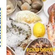 Vente - Bar - Restaurant - Poissonnerie - Le Touquet-Paris-Plage (62520)