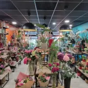 Vente - Fleuriste - Puy-de-Dôme (63)