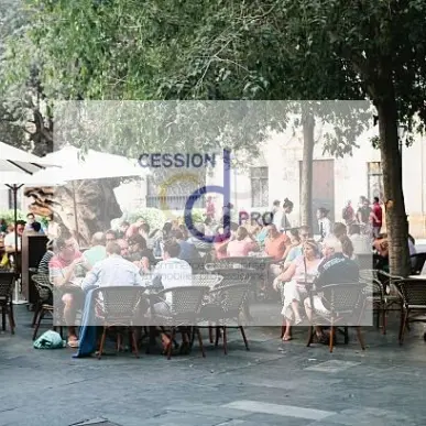 Vente - Bar - Brasserie - Restaurant - Café - Gard (30)-photo-7
