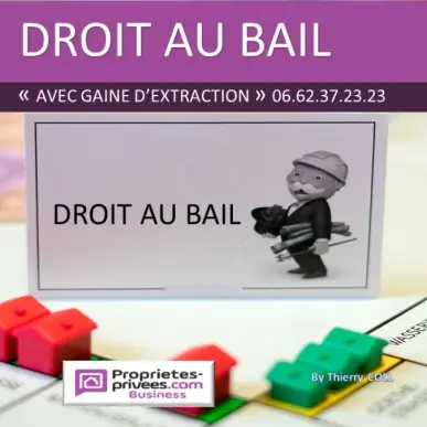 Location Local Commercial - Rhône (69)-photo-1