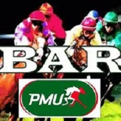Vente - Bar - PMU - Landes (40)-photo-2