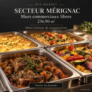 Vente de murs commerciaux - Merignac (33700)-photo-1