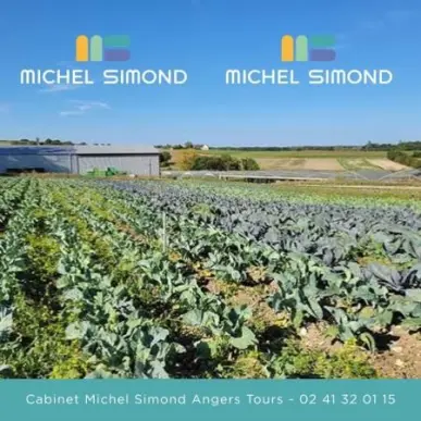 Vente - Exploitation agricole - Indre (36)-photo-2