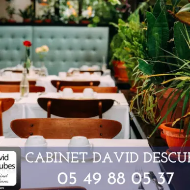 Vente - Restaurant - Cave à vins - Vins et spiritueux - Poitiers (86000)-photo-2