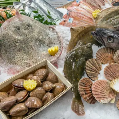 Vente - Poissonnerie - Traiteur - Louannec (22700)-photo-4