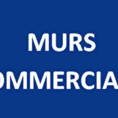 Vente de murs commerciaux - Seine-et-Marne (77)-photo-1