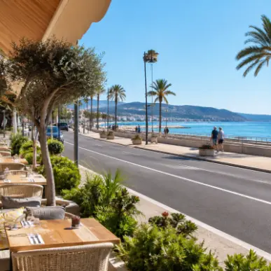 Vente - Bar - Restaurant - Aude (11)-photo-1