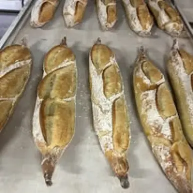 Vente - Boulangerie - Pâtisserie - Pyrénées-Atlantiques (64)-photo-1