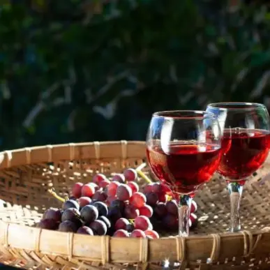 Vente - Cave à vins - Vins et spiritueux - Calvados (14)-photo-6