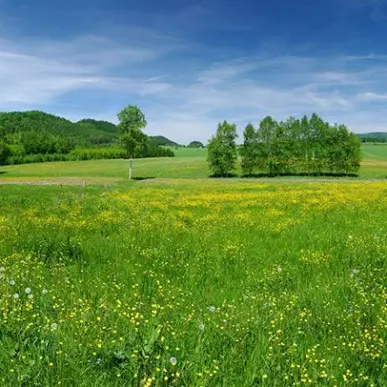 Vente Terrain ZI / ZA - Chasnais (85400)-photo-7