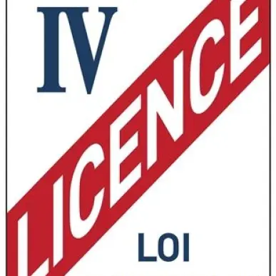 Vente - Bar - Licence IV - Toulouse (31500)-photo-3