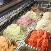 Vente - Glacier - Saint-Denis-d'Oléron (17650)