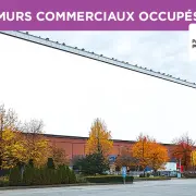 Vente de murs de boutique - Cantal (15)