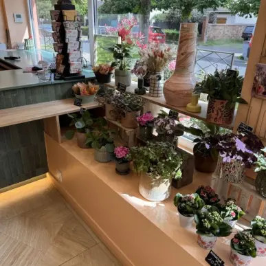 Vente - Fleuriste - Yvelines (78)-photo-8