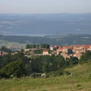 Vente - Hôtel - Restaurant - Gîte - Haute-Loire (43)