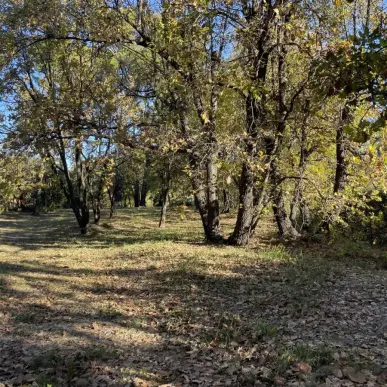 Vente Terrain ZI / ZA - Lorgues (83510)-photo-3