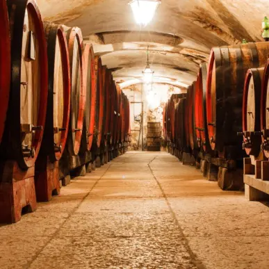 Vente - Cave à vins - Vins et spiritueux-photo-1