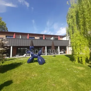 Vente - Hôtel - Restaurant - Institut de beauté - Marne (51)-photo-2