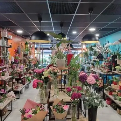 Vente - Fleuriste - Puy-de-Dôme (63)-photo-5