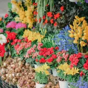 Vente - Fleuriste - Rhône (69)