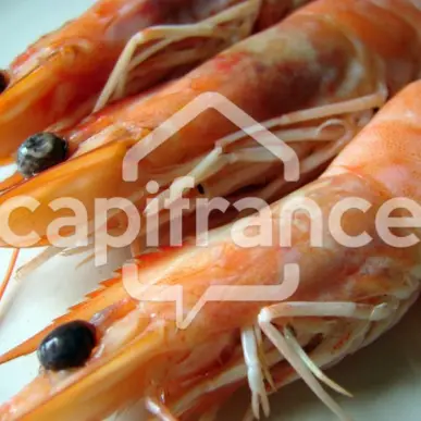 Vente - Poissonnerie - Combrit (29120)-photo-6