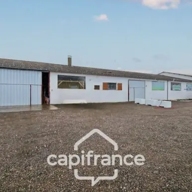 Vente Entrepôt / Local d'activités - Chalon-sur-saone (71100)-photo-5