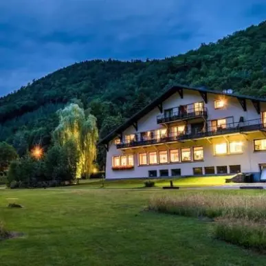Vente - Hôtel - Restaurant - Bernardswiller (67210)-photo-5