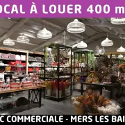 Location Local Commercial - Seine-Maritime (76)