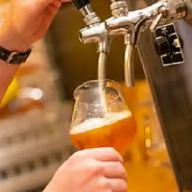 Vente - Bar - Brasserie - Tabac - Loto - Presse - Landes (40)-photo-3