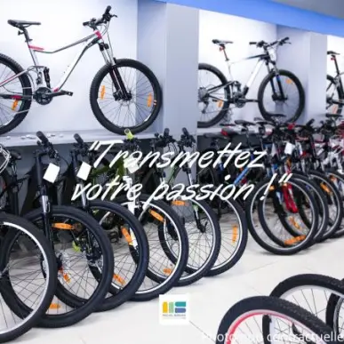 Vente - Cycles - Guadeloupe (971)-photo-1