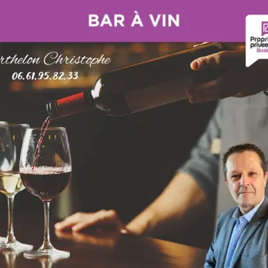 Vente - Bar - Yonne (89)-photo-6