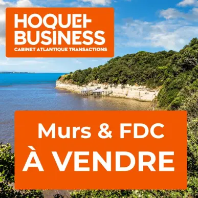Vente - Camping - Charente-Maritime (17)-photo-3
