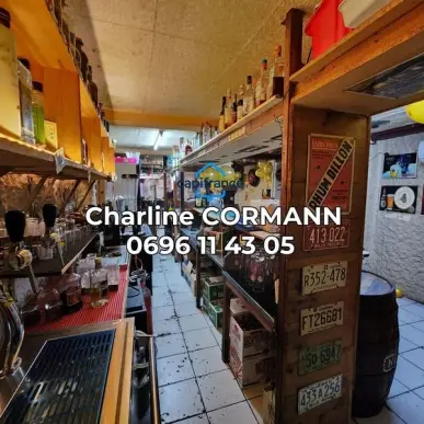 Vente - Bar - Restaurant - Martinique (972)-photo-6