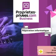 Vente - Services informatiques - Ille-et-Vilaine (35)