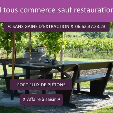 Location Local Commercial - Rhône (69)-photo-2