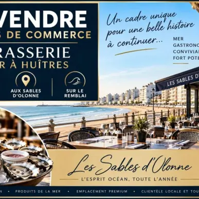 Vente - Pressing - Les Sables-d'Olonne (85100)-photo-1