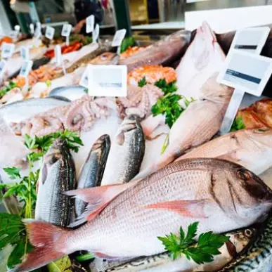 Vente - Poissonnerie - Traiteur - Ain (01)-photo-1
